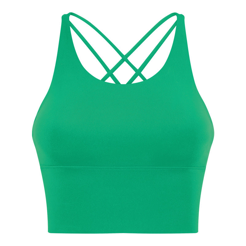 1810# A Women Bra or Skirt