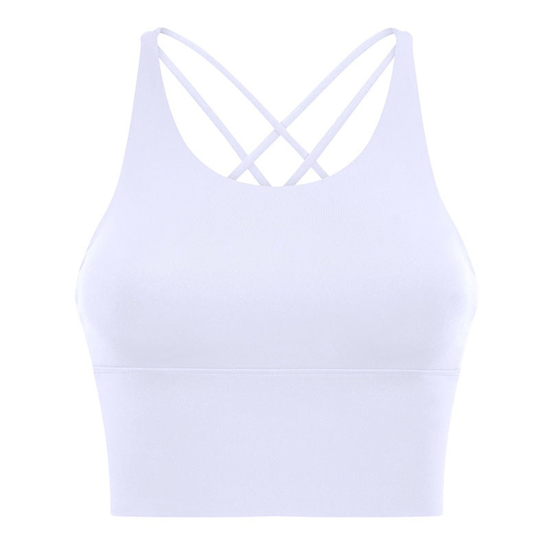 1810# A Women Bra or Skirt