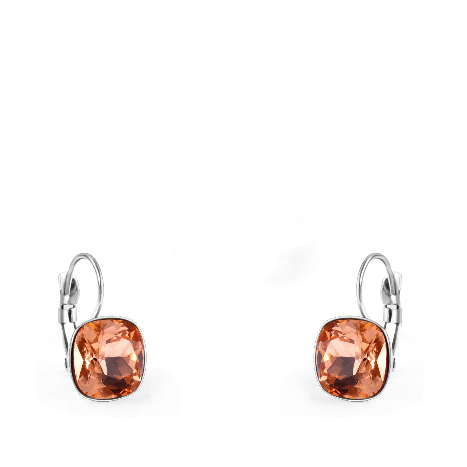 E1185# Fashion Chic Earrings