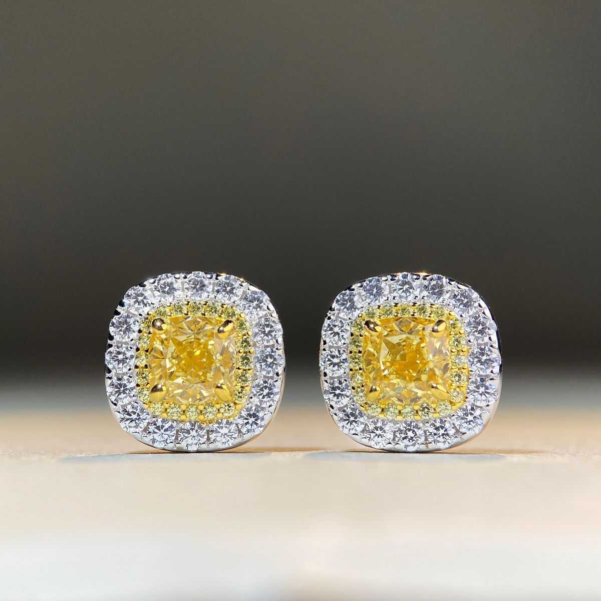 E1203#Fashion Chic Earrings