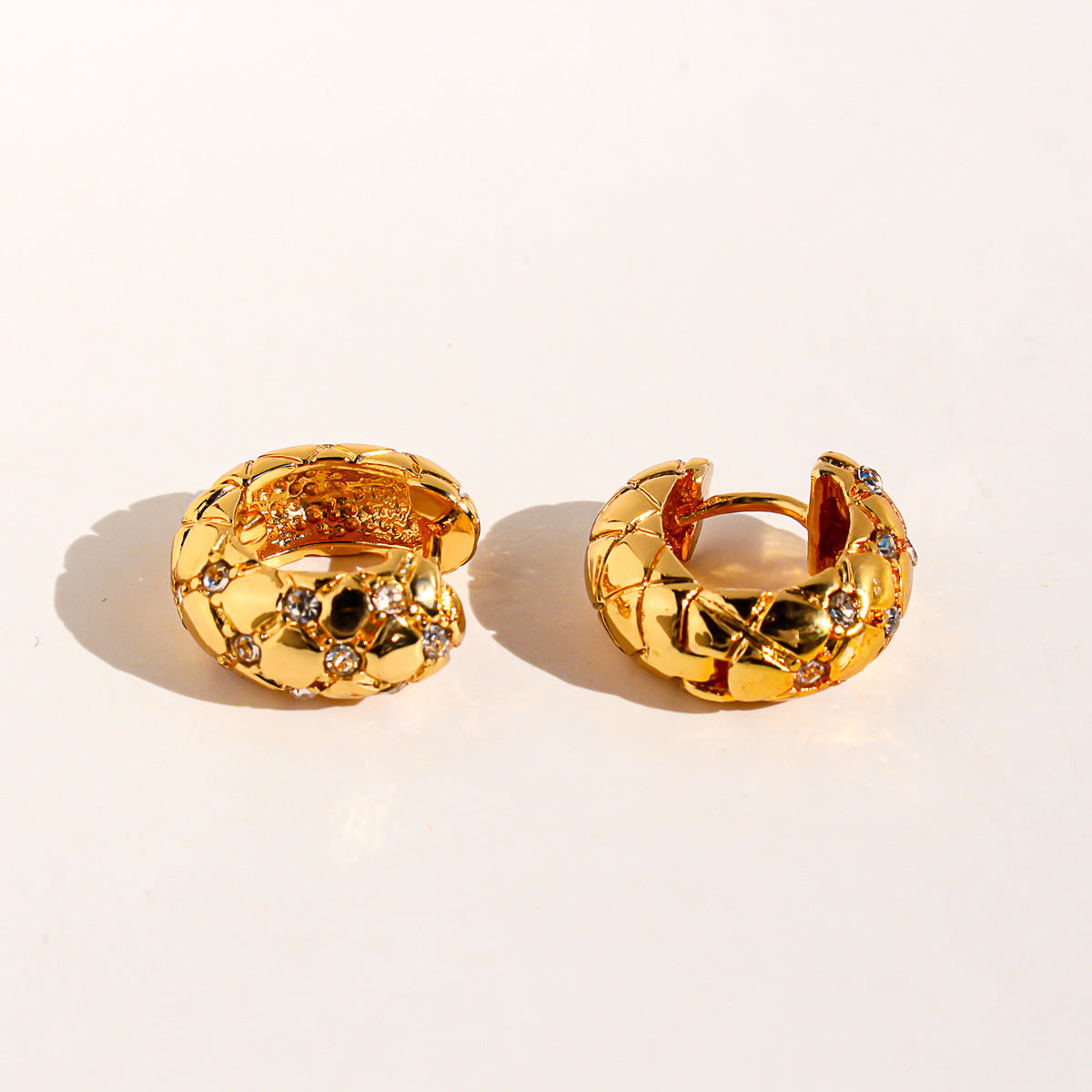 E4949# Titanium Steel Earring