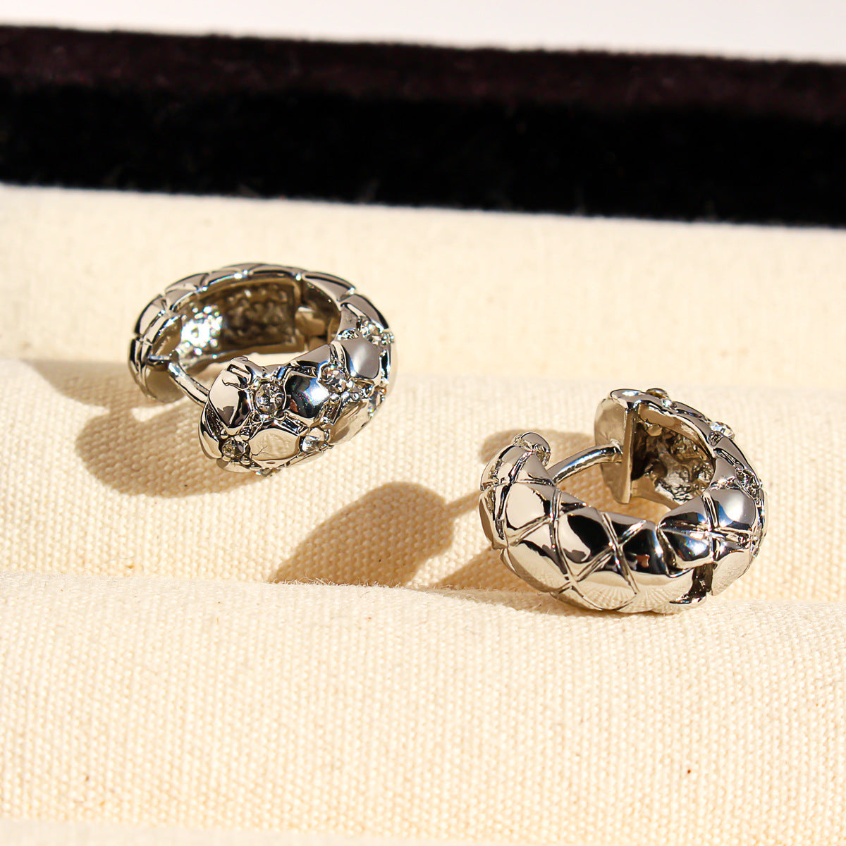 E4949# Titanium Steel Earring
