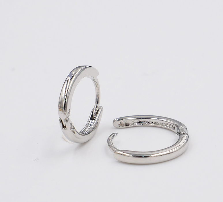 E7077# Titanium Steel Earrings
