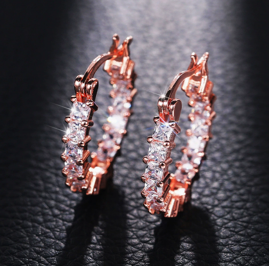 E7077# Titanium Steel Earrings
